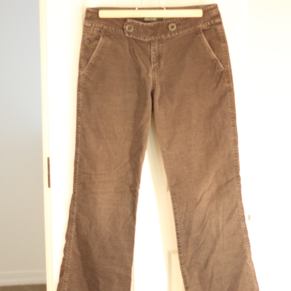Tan Velvet Boot cut Cotton Blend Dress Pant